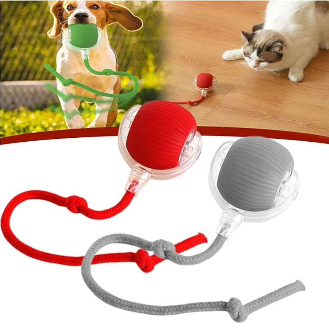 SmartPaw Ball™ - Motion-sensing smart ball