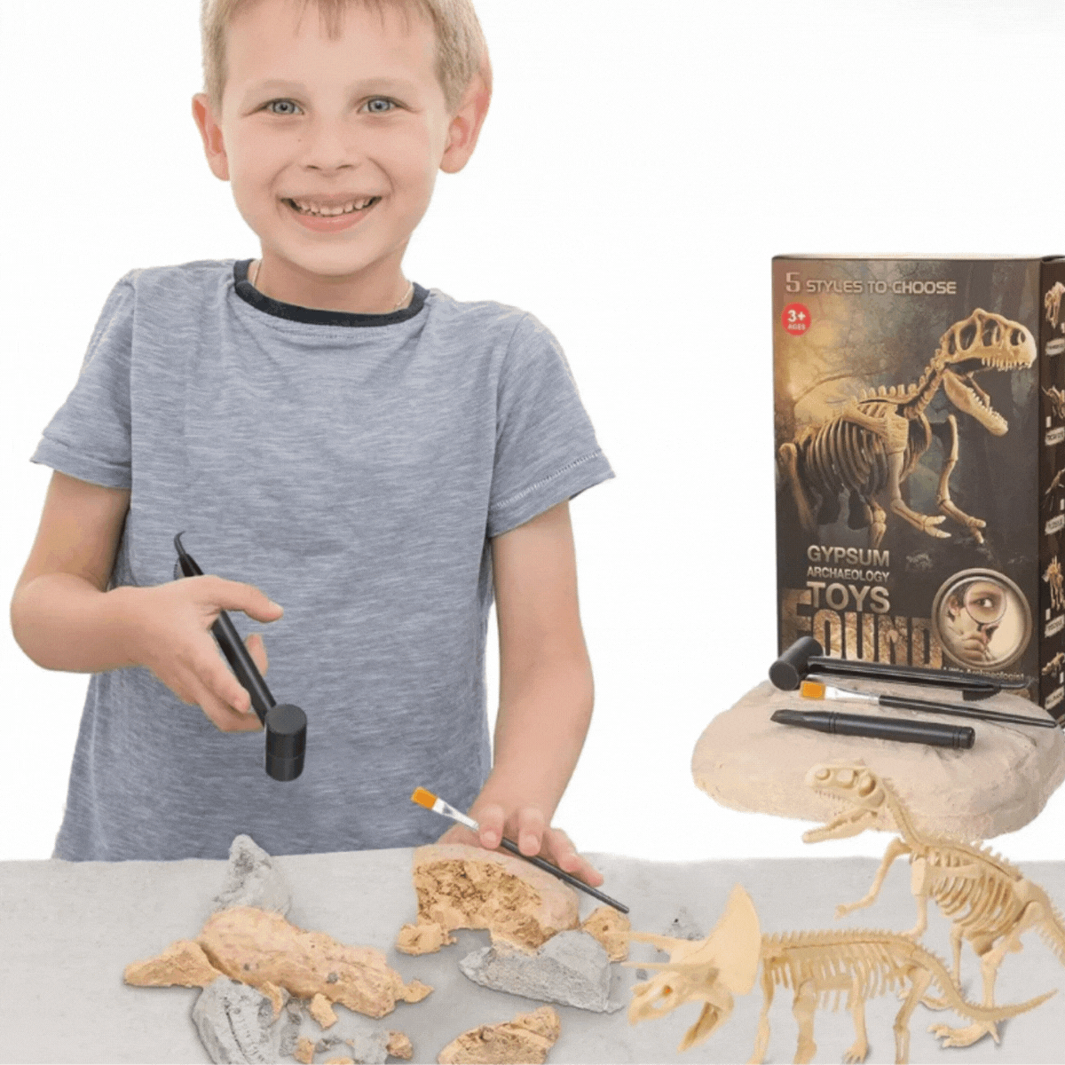 Dinosaur Fossil Excavation Kit Archaeological Discovery