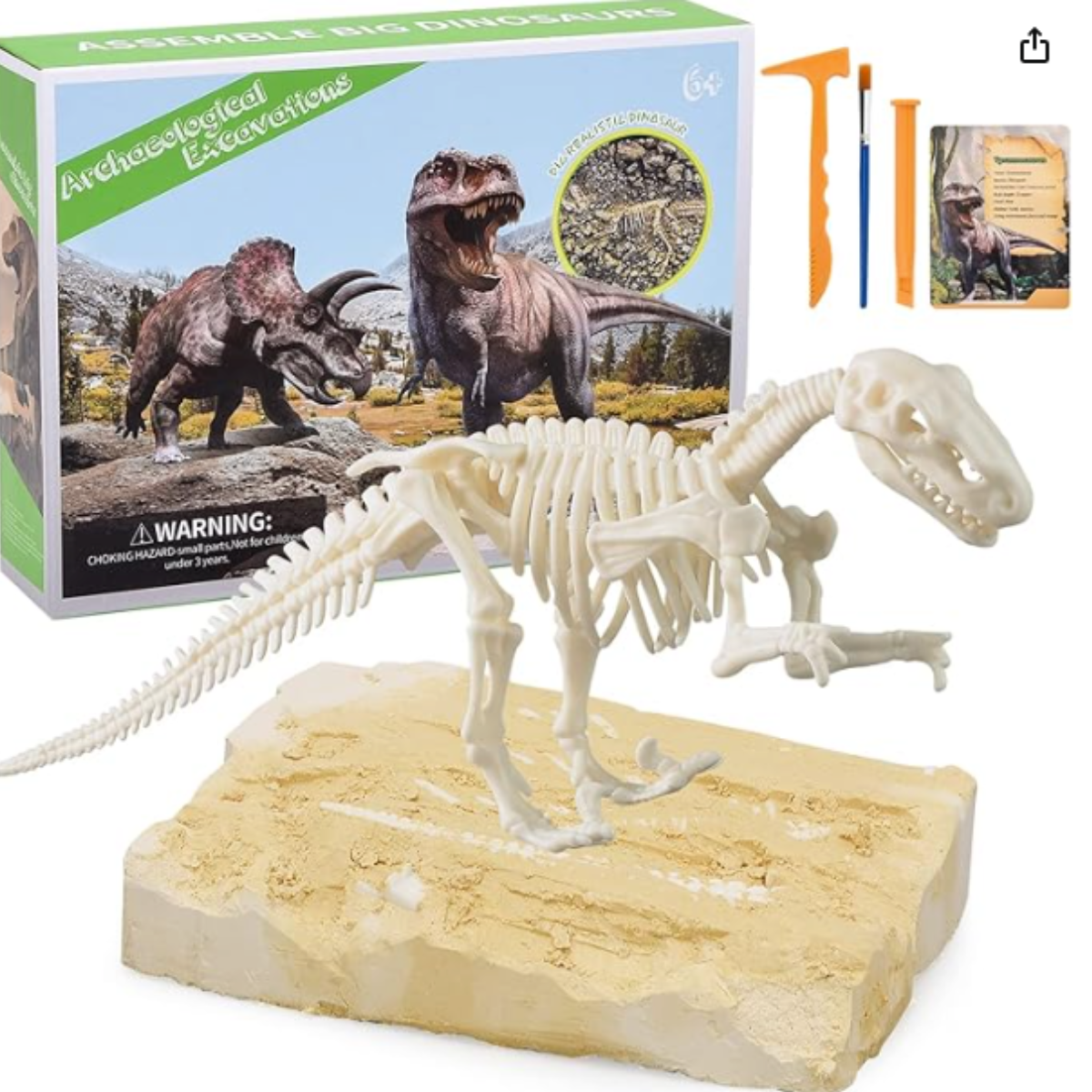 Kit de Excavación Fósil Dinosaurio Descubrimiento Arqueológico