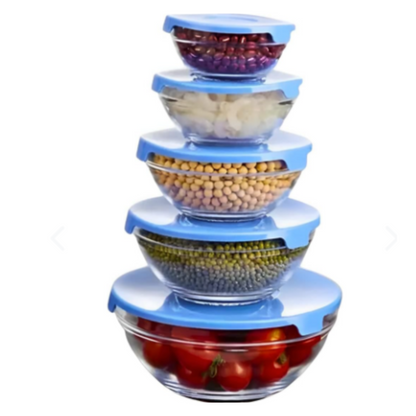 Set of 5 Glass Food Containers