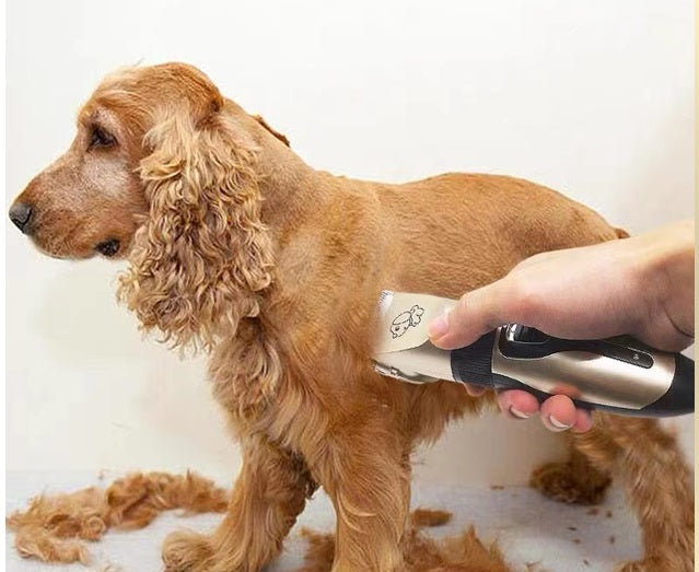 Pet hair cutting machine